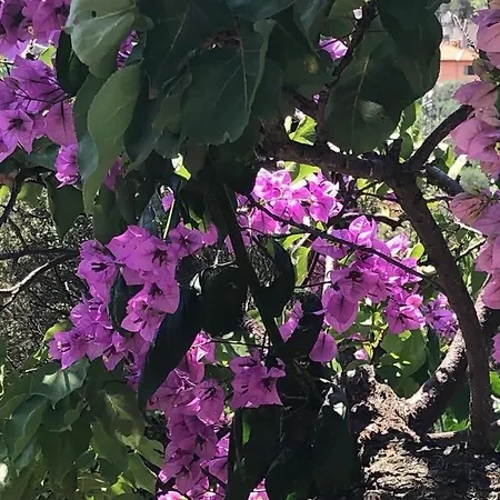 팜스테이 Soleada *