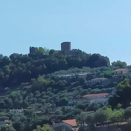 팜스테이 Soleada