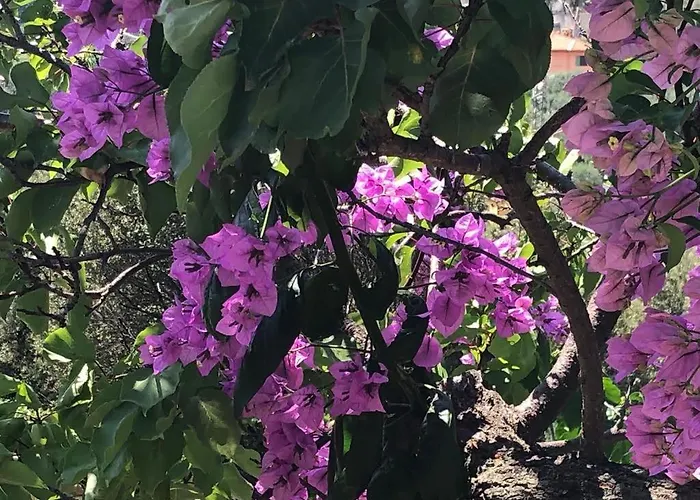 Agroturismo Soleada *