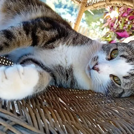 ファームステイ Soleada